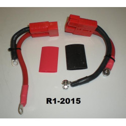 prise rapide batterie R1 2015