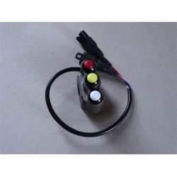 S1000 RR 12/14 Gauche