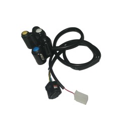 5 boutons R1 2015-2023